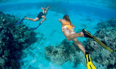 Complimentary Gratuities, Complimentary Beverages, Complimentary Dining, Complimentary WiFi PLUS More!