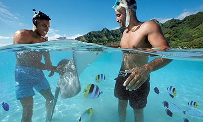 Save up to 30% on Cruise Fares!