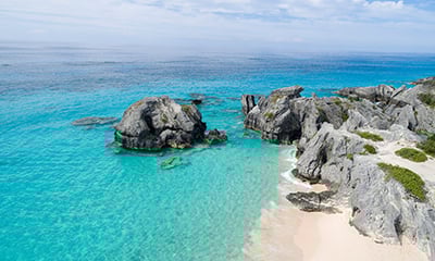 Avoya Advantage Exclusive – Free Specialty Dining on 2026 Sailings!