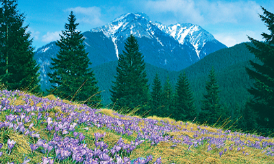 Europe Tours Europe Tour Deals Avoya Travel